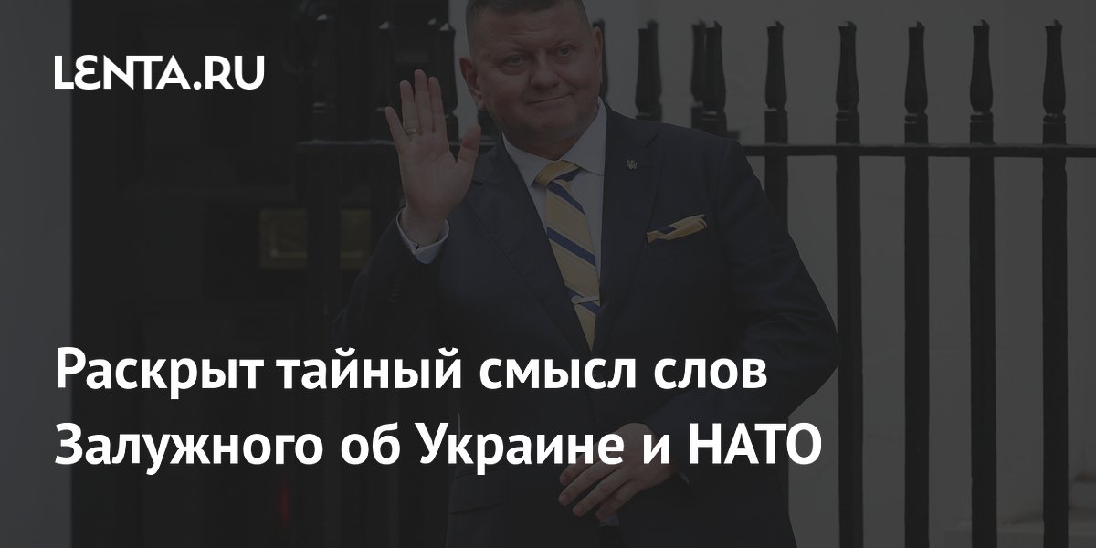 Раскрыт тайный смысл слов Залужного об Украине и НАТО