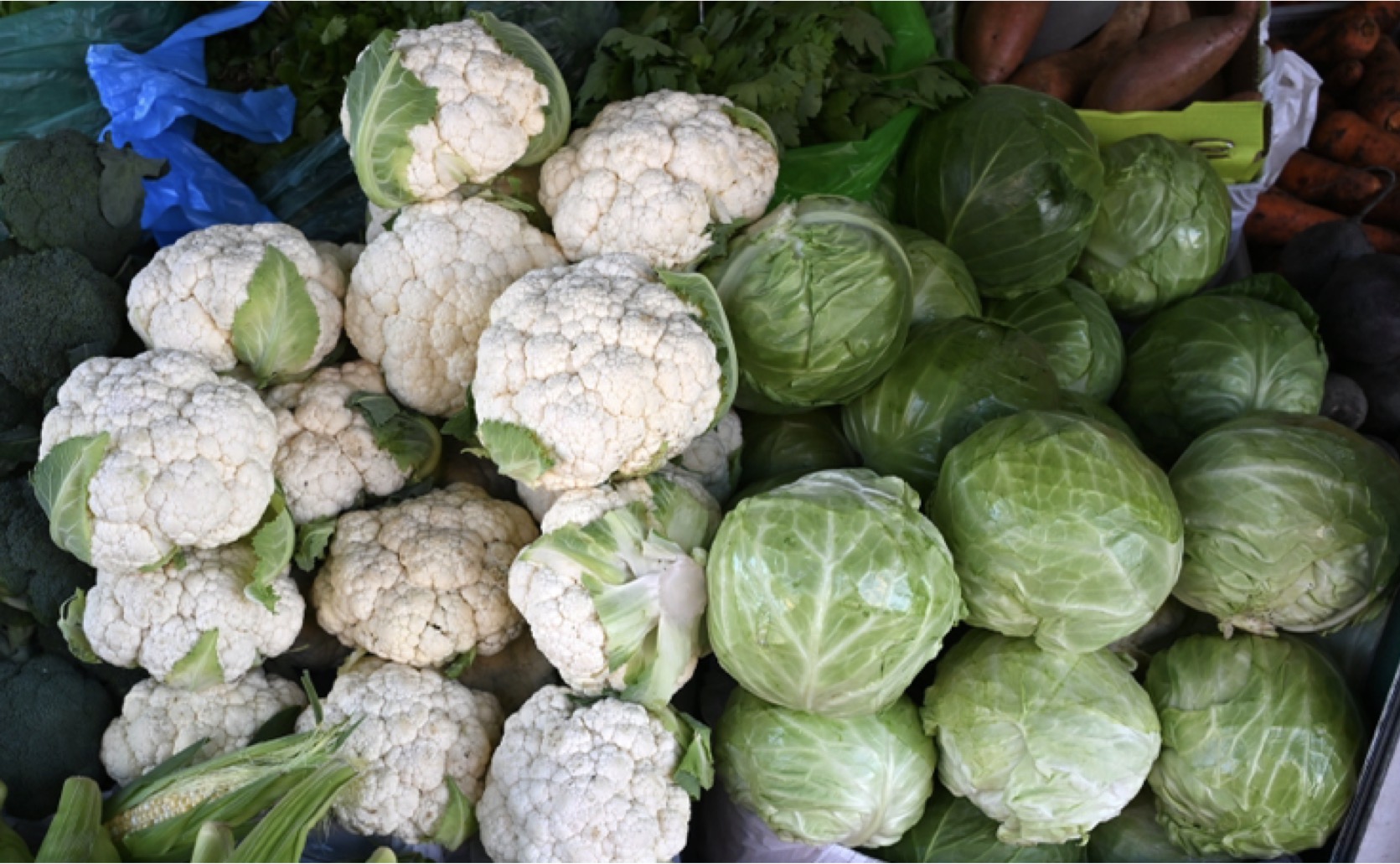 Sinigrin in Cabbage and Broccoli Fights Liver Disease