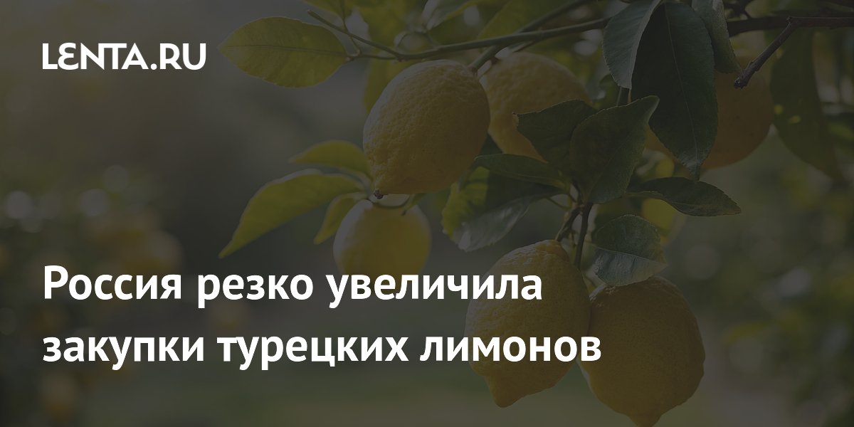 Россия резко увеличила закупки турецких лимонов
