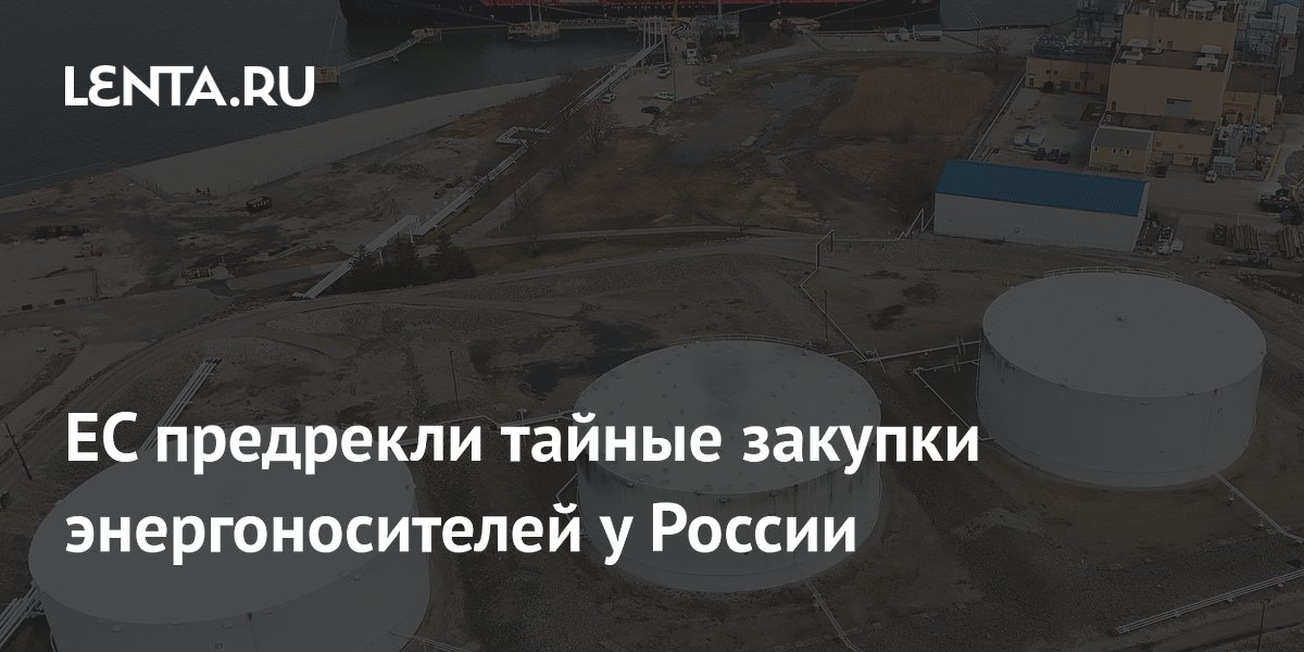 ЕС предрекли тайные закупки энергоносителей у России