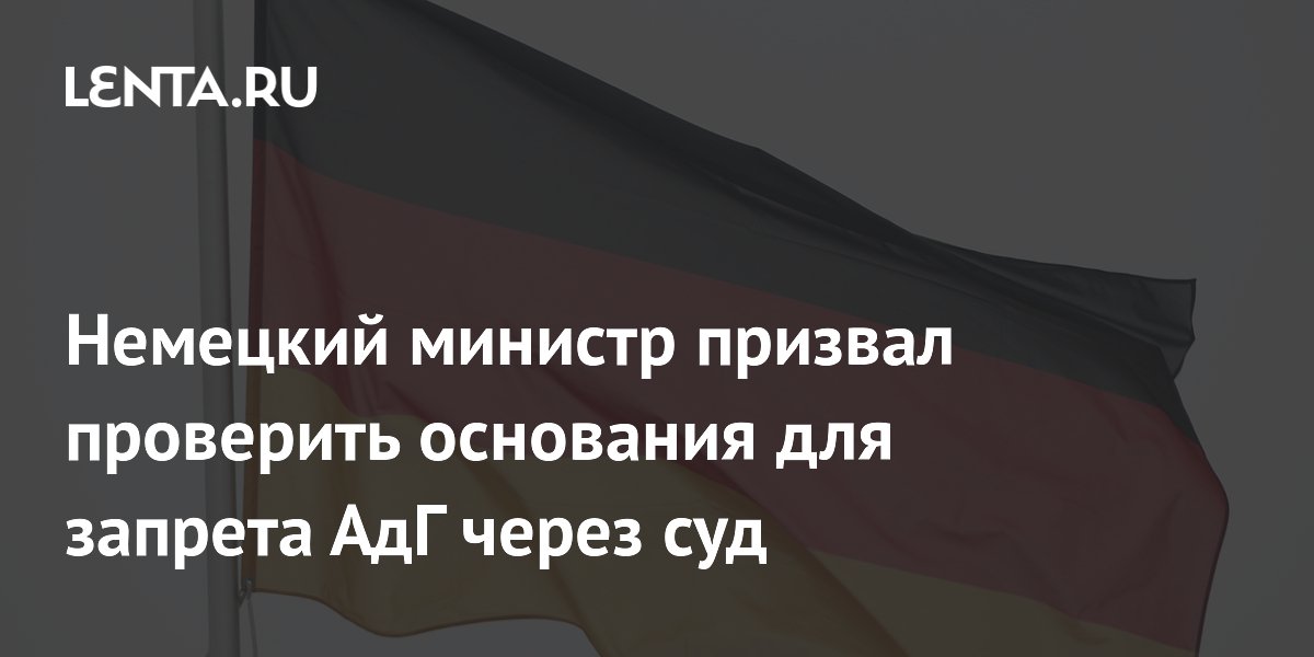 Немецкий министр призвал проверить основания для запрета АдГ через суд