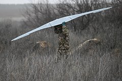 owl_detail_240_f7761eaa588e20634b5714e3513ce7d9.jpg