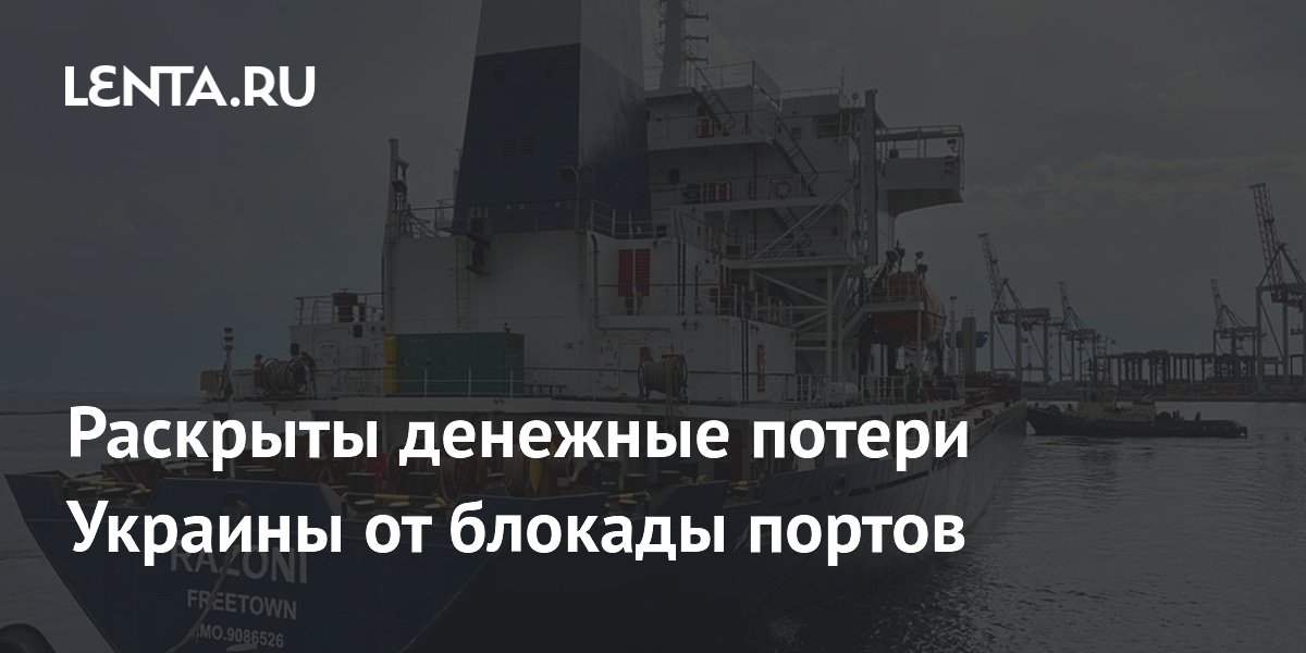 Раскрыты денежные потери Украины от блокады портов