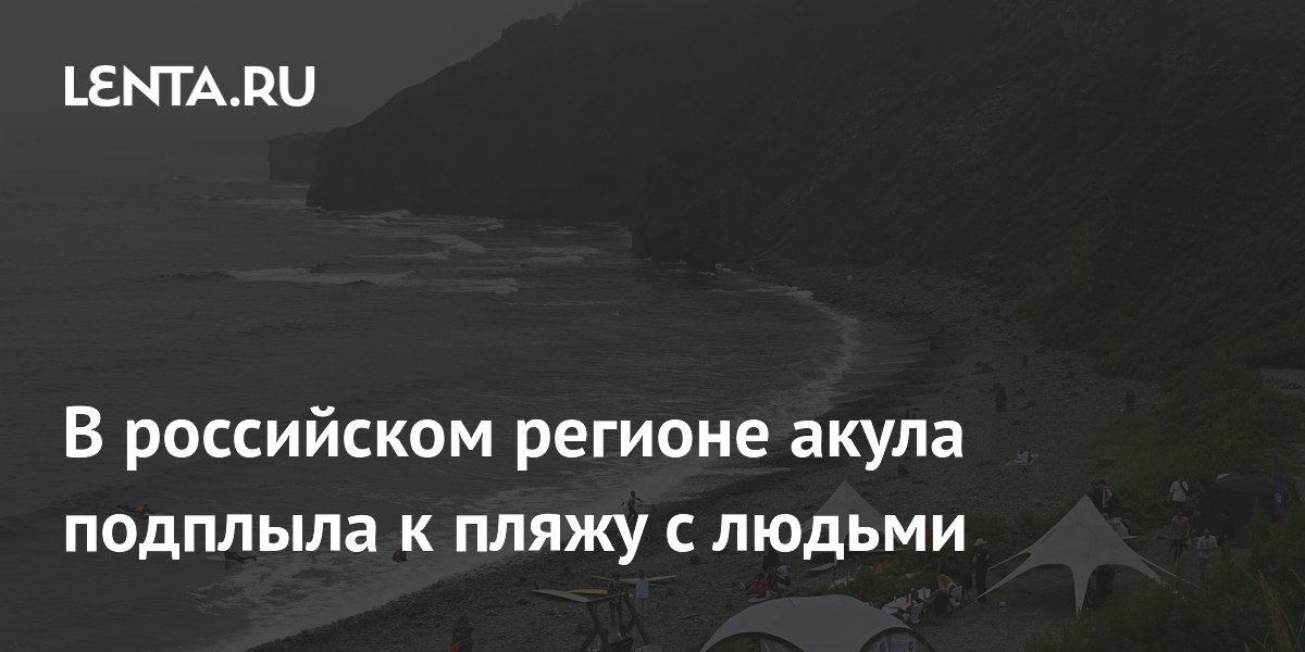 В российском регионе акула подплыла к пляжу с людьми
