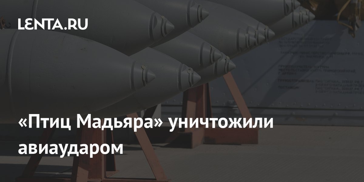 «Птиц Мадьяра» уничтожили авиаударом