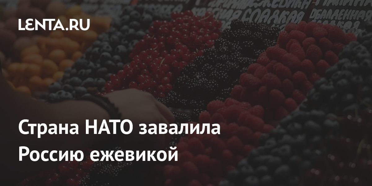 Страна НАТО завалила Россию ежевикой