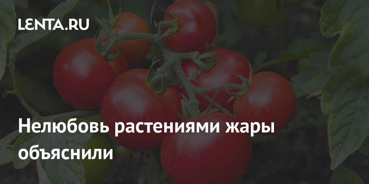 Нелюбовь растениями жары объяснили