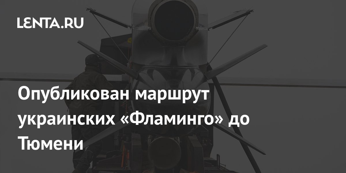 Опубликован маршрут украинских «Фламинго» до Тюмени