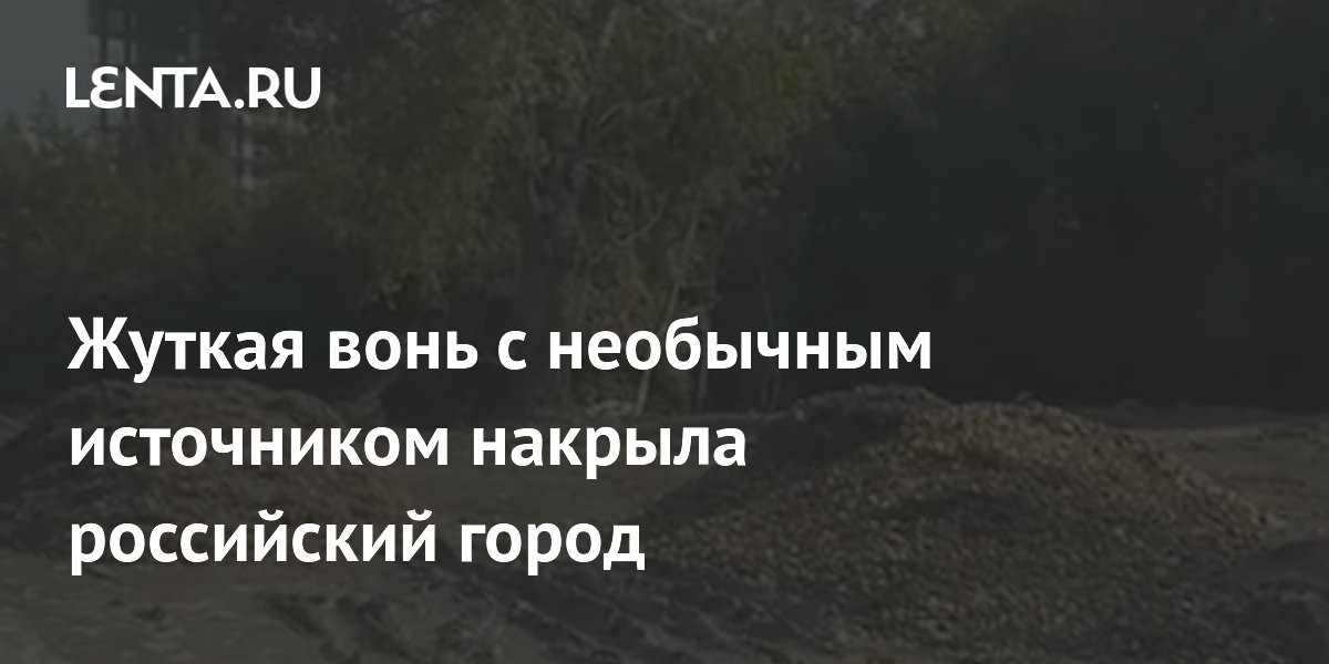 Жуткая вонь с необычным источником накрыла российский город