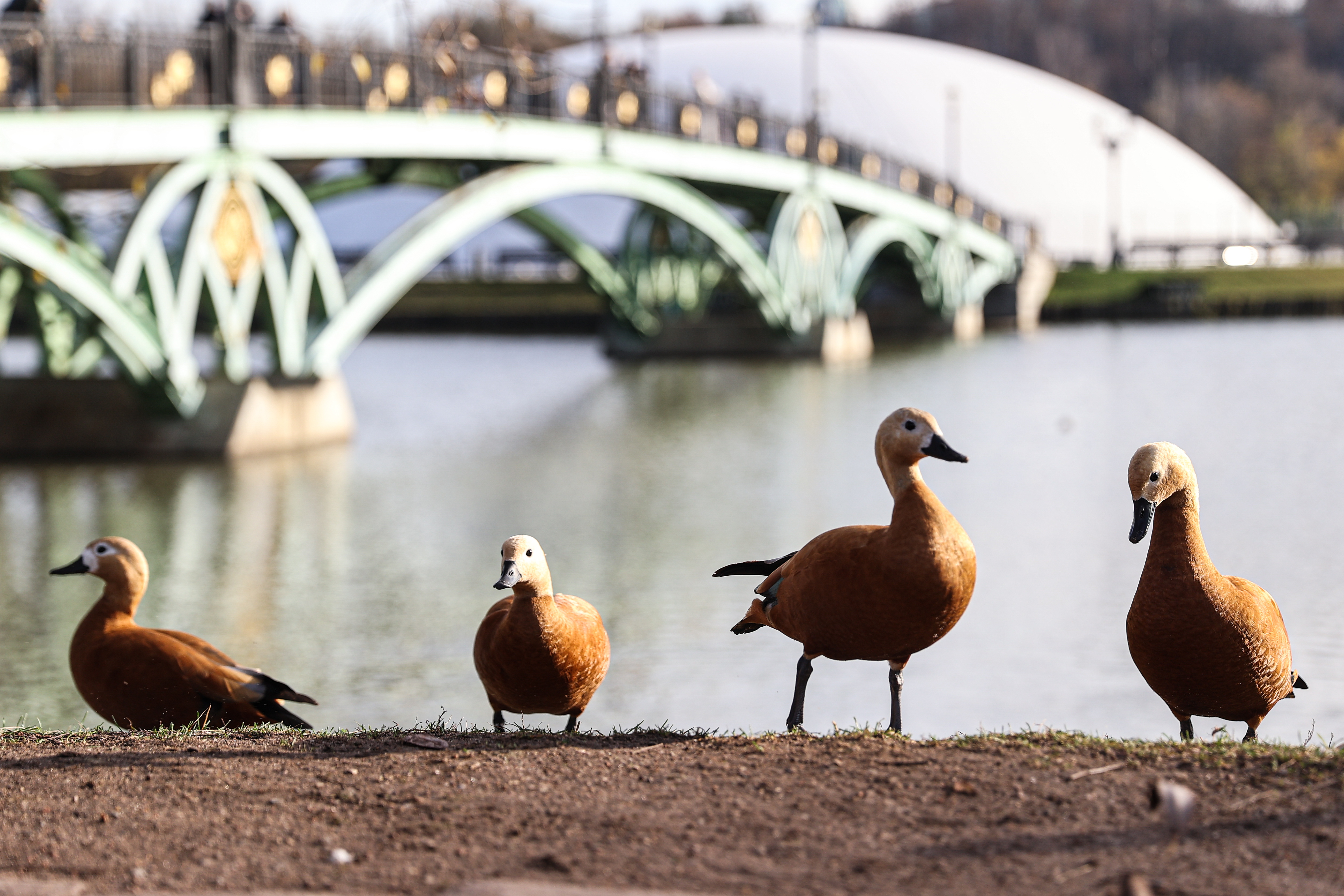 Moscow weather forecast offers chance of warm September
