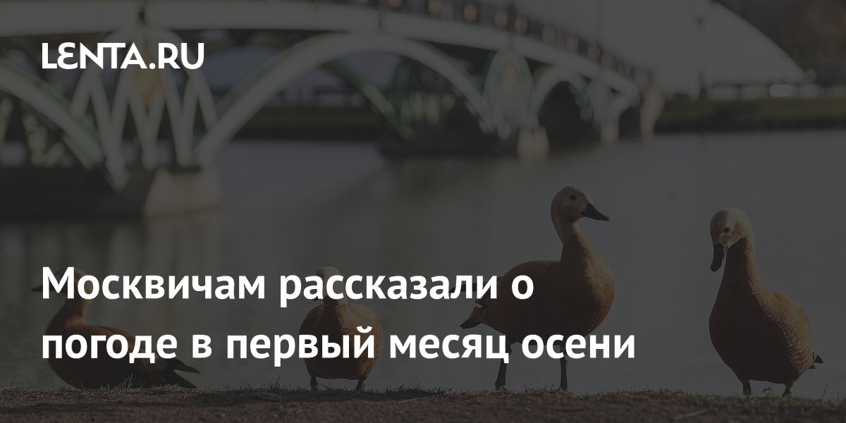 Москвичам рассказали о погоде в первый месяц осени