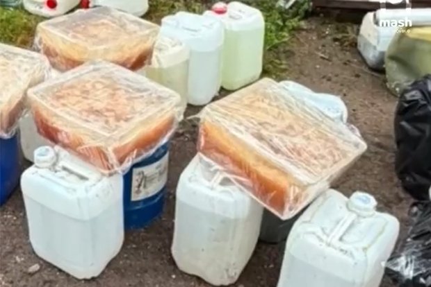 Вводная картинка
