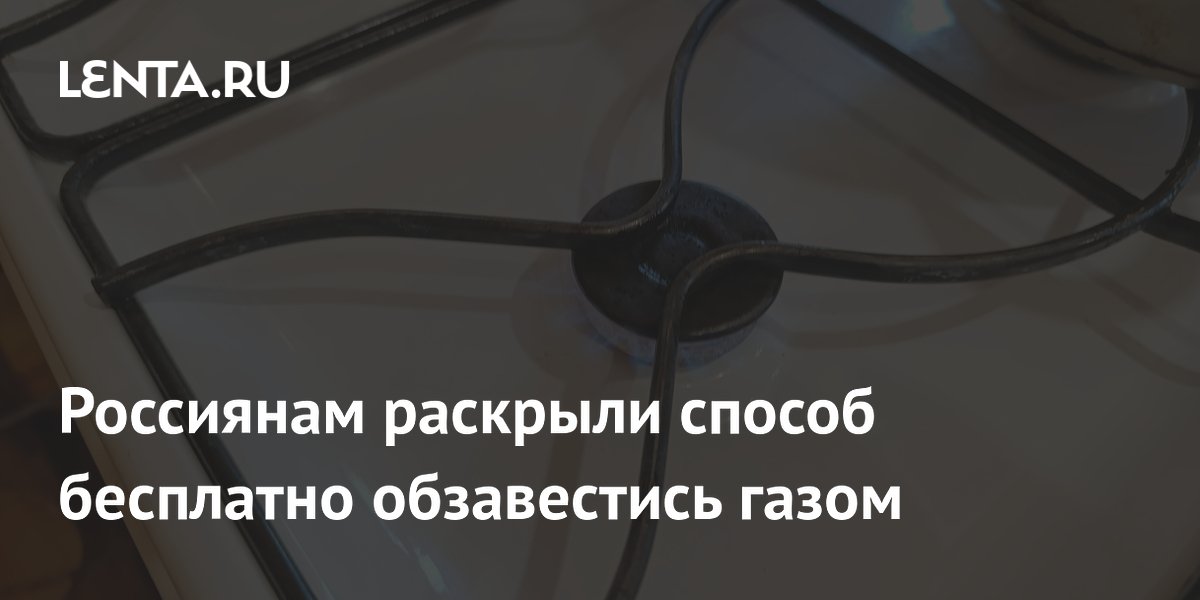 Россиянам раскрыли способ бесплатно обзавестись газом