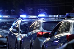 owl_detail_240_1d01fab30afd32da2e27b992b39ccce0.jpg