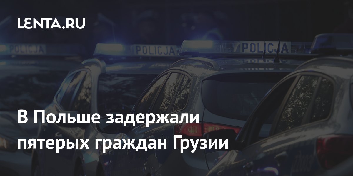 В Польше задержали пятерых граждан Грузии