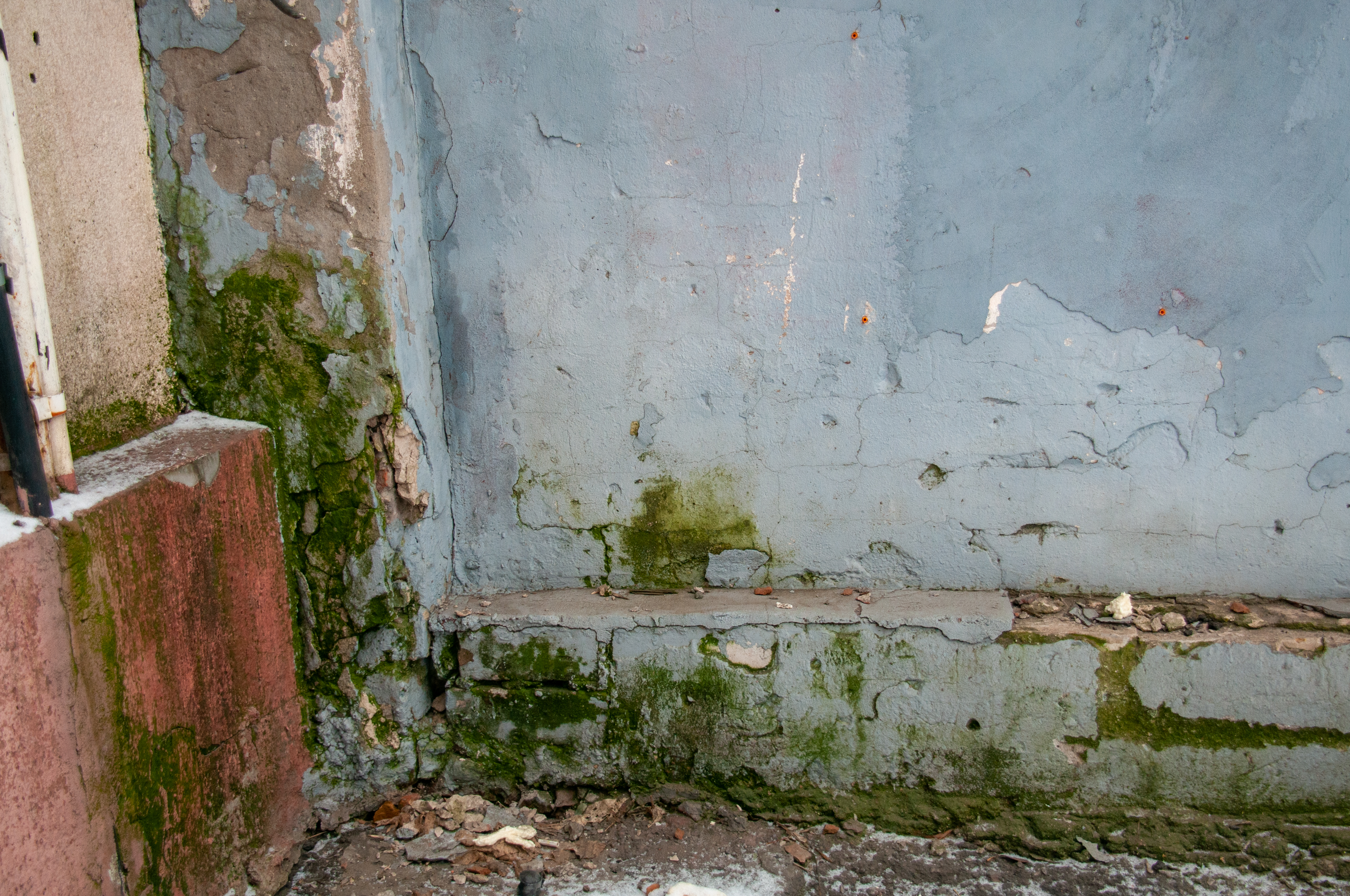 Irkutsk residents report mold and flooding after repairs