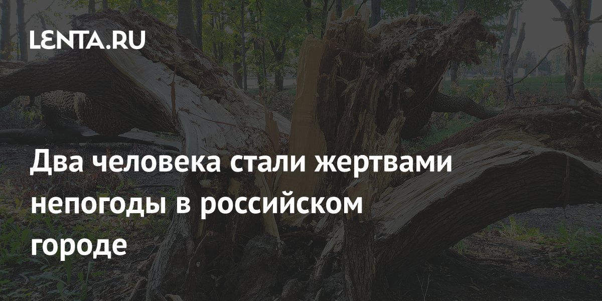 Два человека стали жертвами непогоды в российском городе