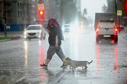 Жителей Москвы предупредили о ливне с градом