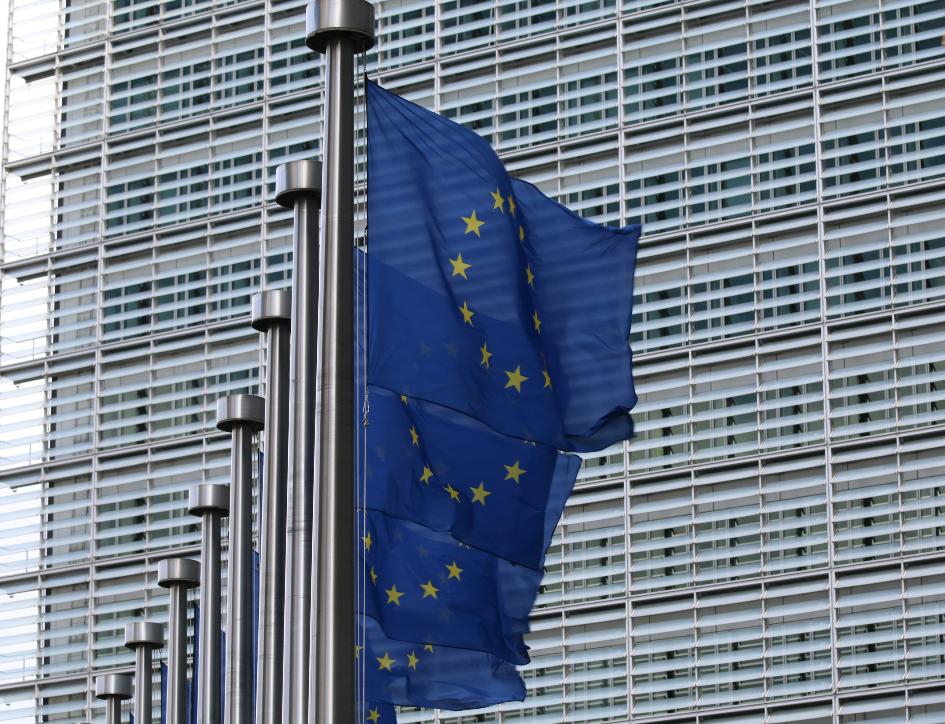 Armando Mema Urges EU to Return Frozen Assets to Russia
