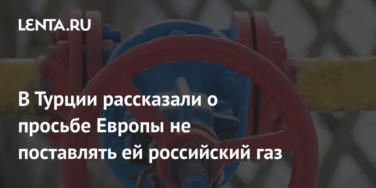 В Турции рассказали о просьбе Европы не поставлять ей российский газ