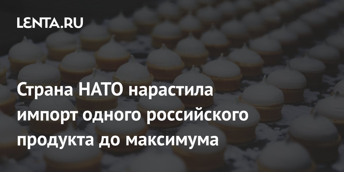 Страна НАТО нарастила импорт одного российского продукта до максимума