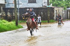 news_image