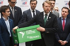 Председатель партии «Яблоко» Николай Рыбаков