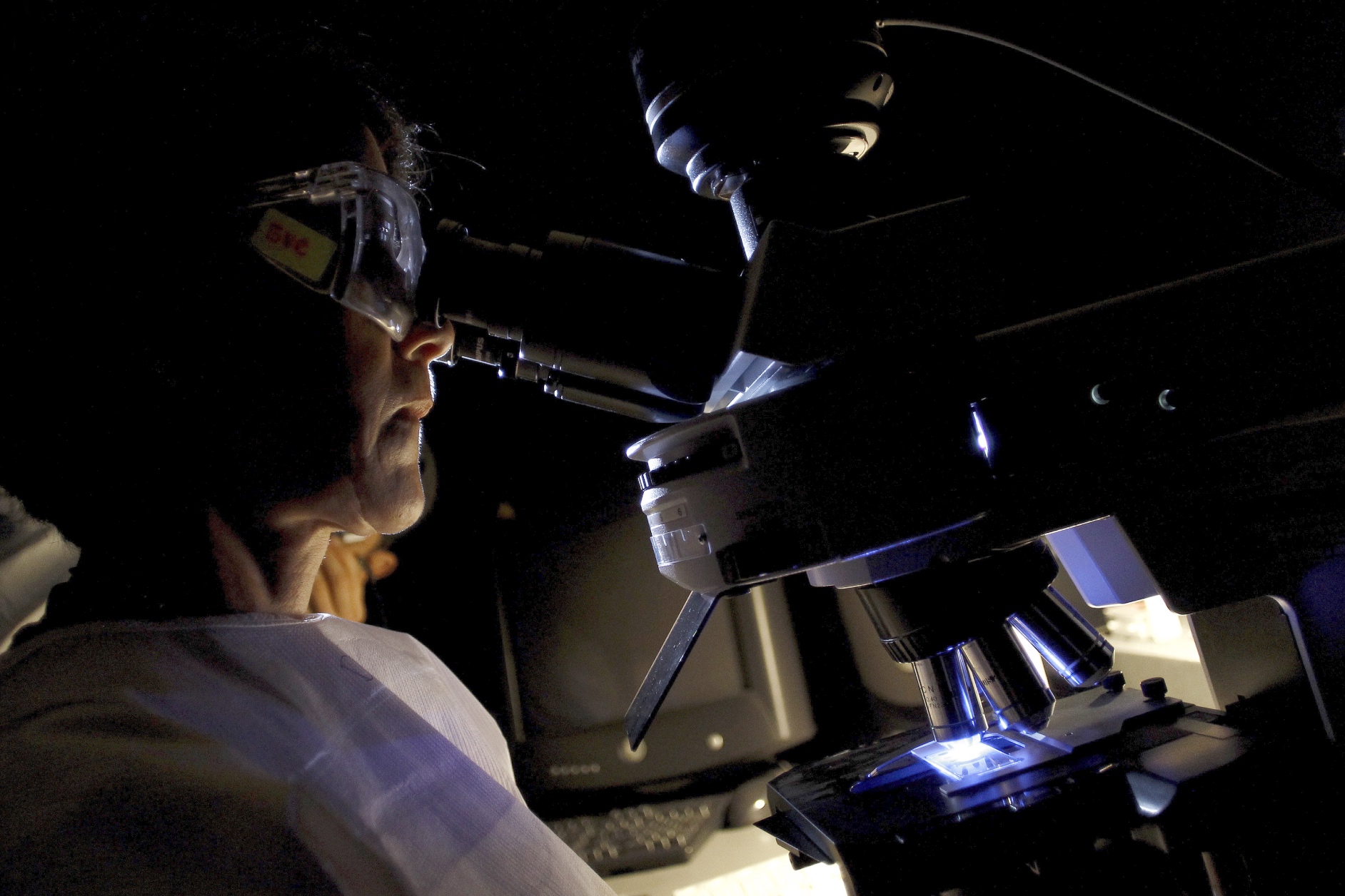 Stanford Scientists Create Viruses Using Generative AI