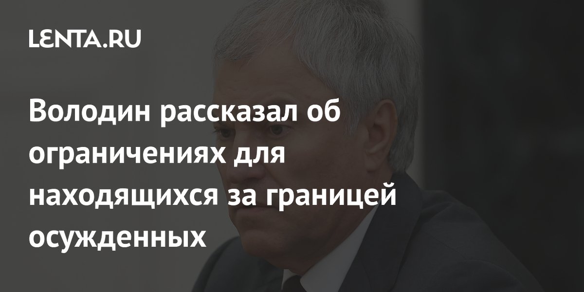 Володин рассказал об ограничениях для находящихся за границей осужденных