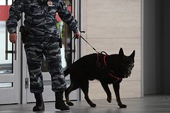 news_image 