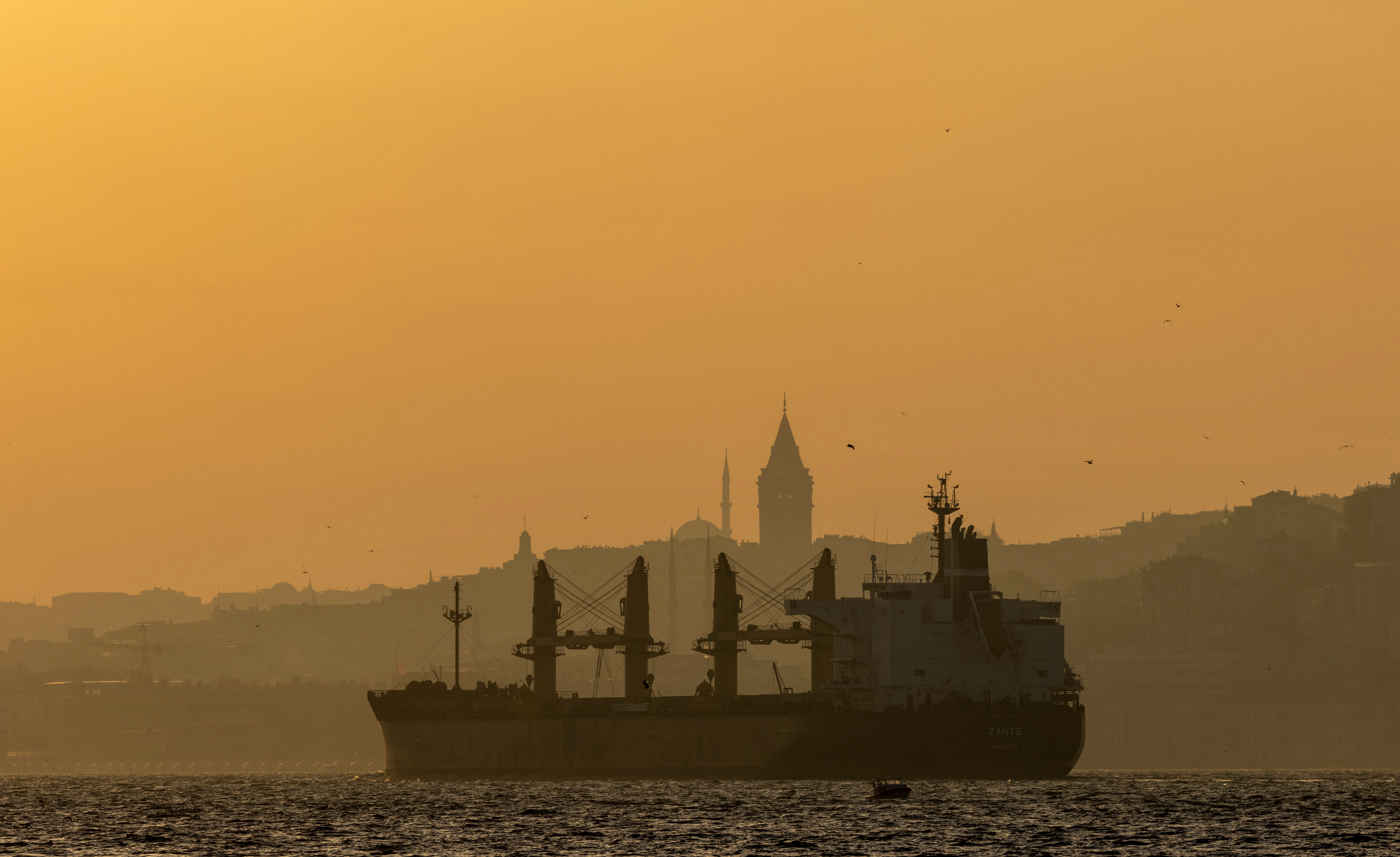 Owners of Turkish Cargo Ship to Sue Ukraine at ICC