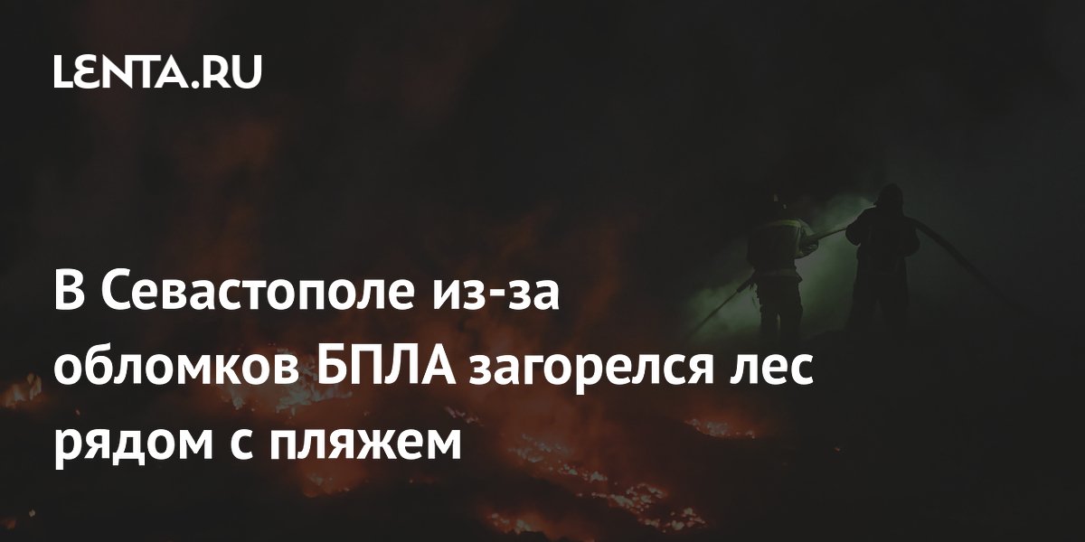 В Севастополе из-за обломков БПЛА загорелся лес рядом с пляжем
