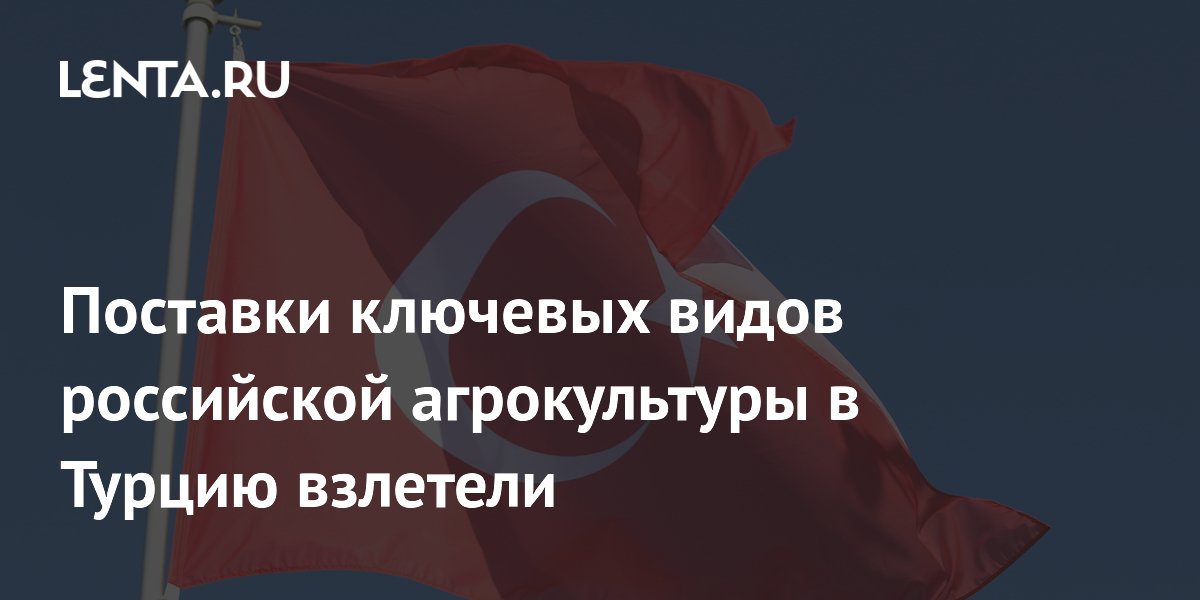 Поставки ключевых видов российской агрокультуры в Турцию взлетели