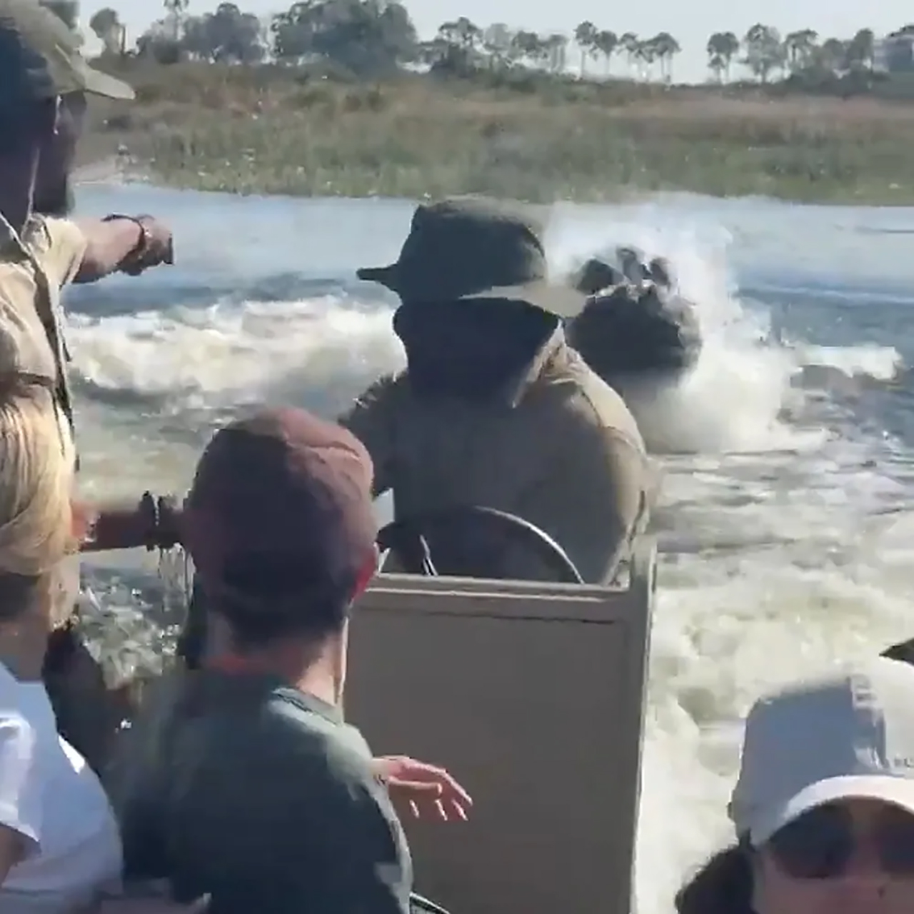 Hippo Chases Boat Full of Tourists in Botswana
