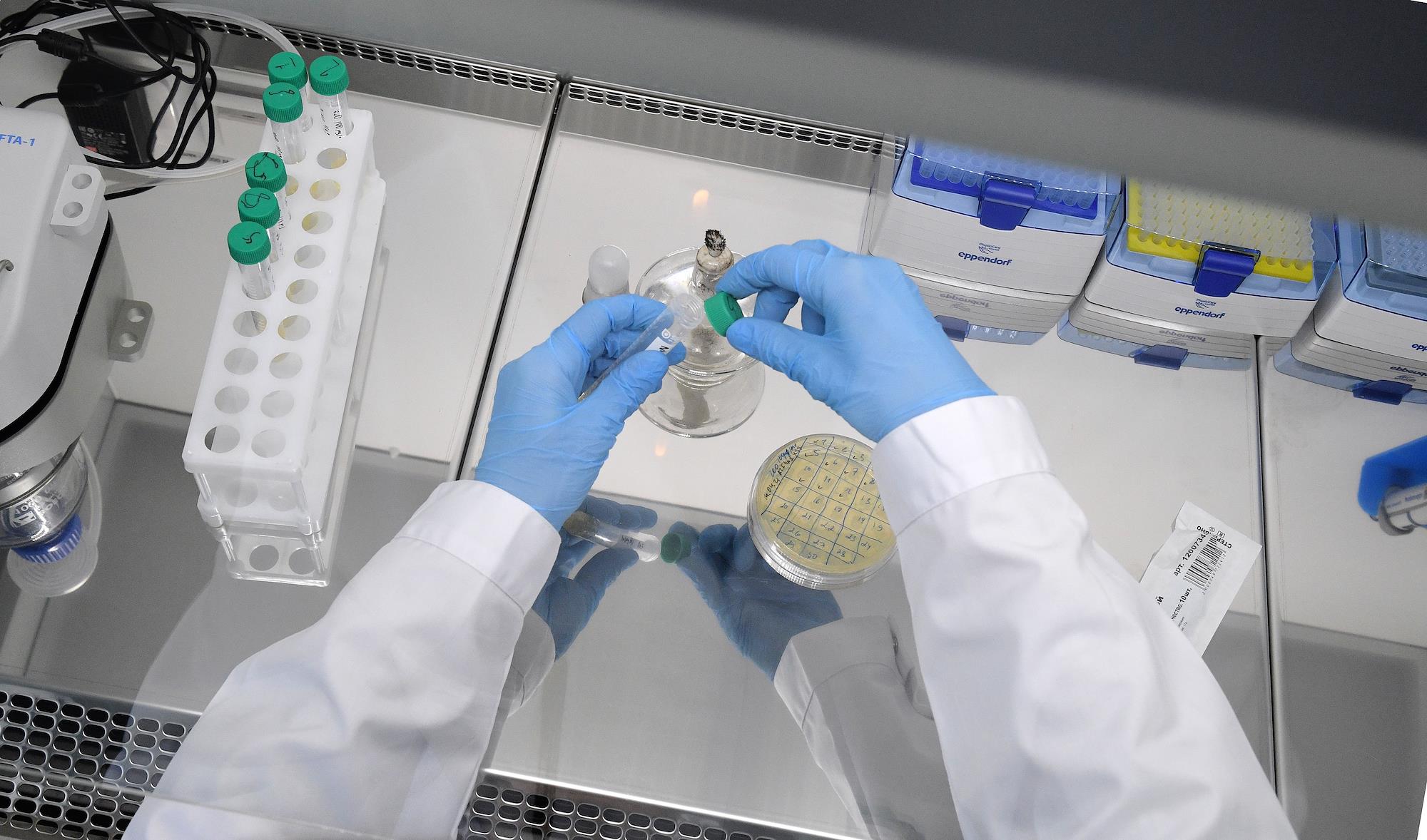 Russia's Health Ministry Sues Pharma Firm Nanolec
