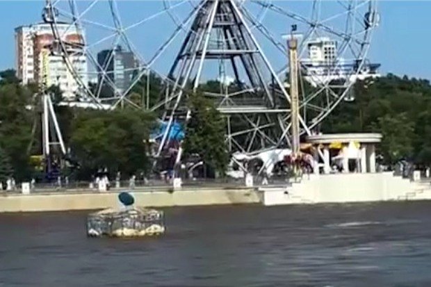 Вводная картинка