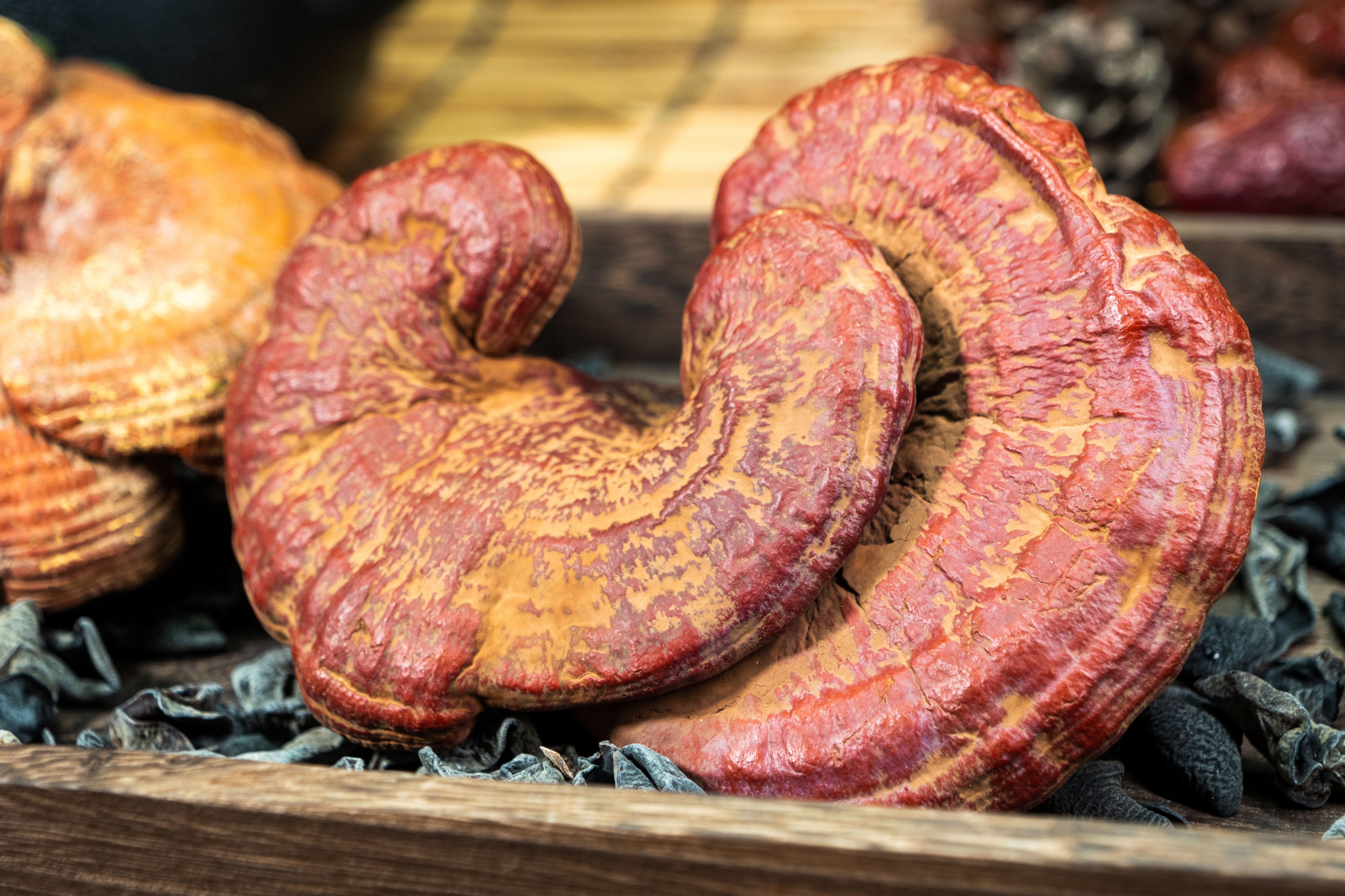 Medicinal mushrooms show potential against type 2 diabetes