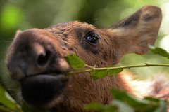 Архивное фото