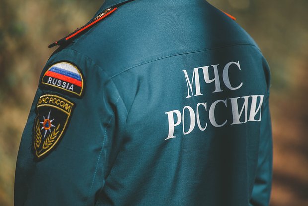 Вводная картинка