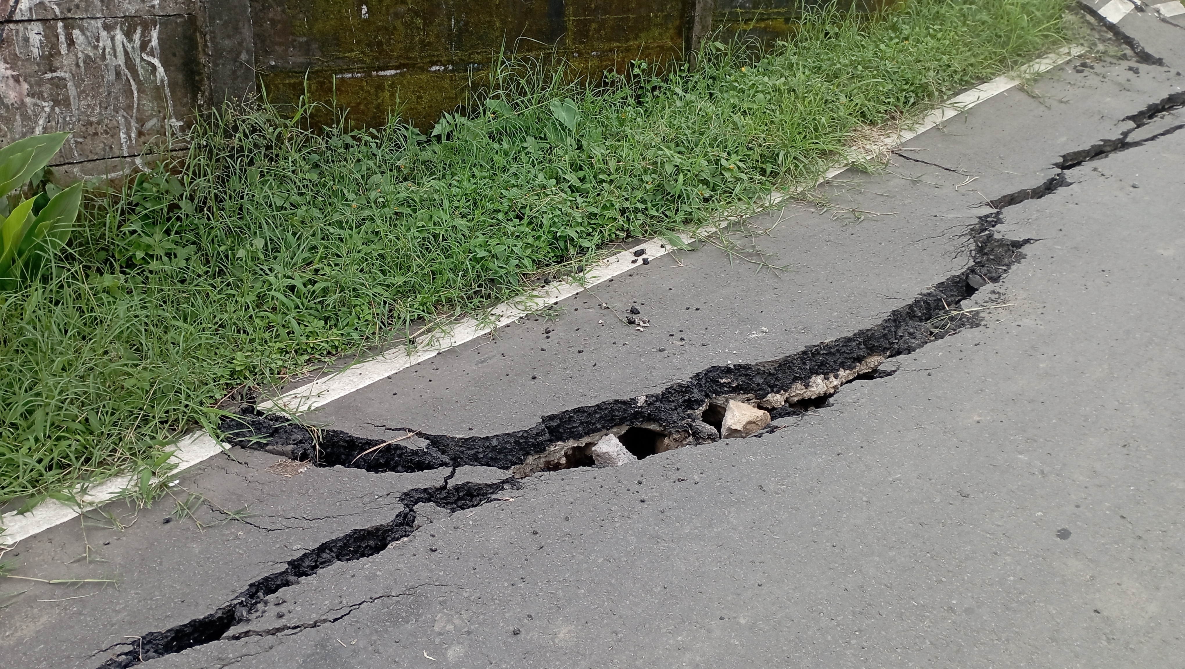 Kuril Islands Earthquake: Magnitude 4.5 Tremor Recorded