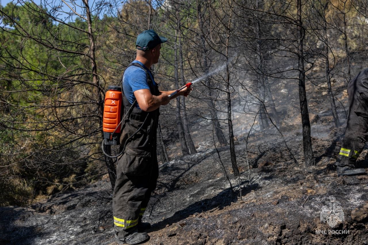 Sevastopol Crews Put Out Forest Fire After Drone Attack