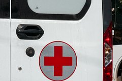 owl_detail_240_bf381e1eae75852c670271613e63f334.jpg