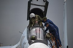 owl_detail_240_130f62399b660c55e8a7933572fd7f61.jpg
