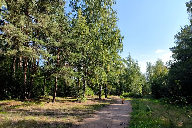 Вводная картинка